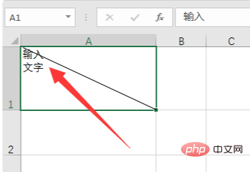 How to type when an Excel table is divided into two slashes