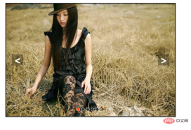 1585538410907946.png javascript實現焦點圖輪播效果程式碼範例