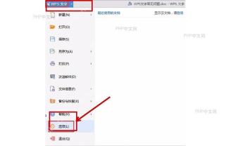 WPS 文字文件菜单中选项入口,用于打开字体嵌入设置窗口
