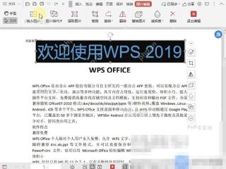 PDF如何文件中进入到图片编辑模式?设置效果