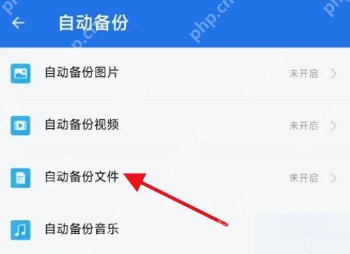 ES文件浏览器自动备份项目选择页面