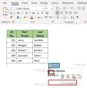 Word 粘贴选项中选择保留源格式