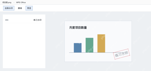 模拟 WPS图片只选中练习水印所在区域准备修复
