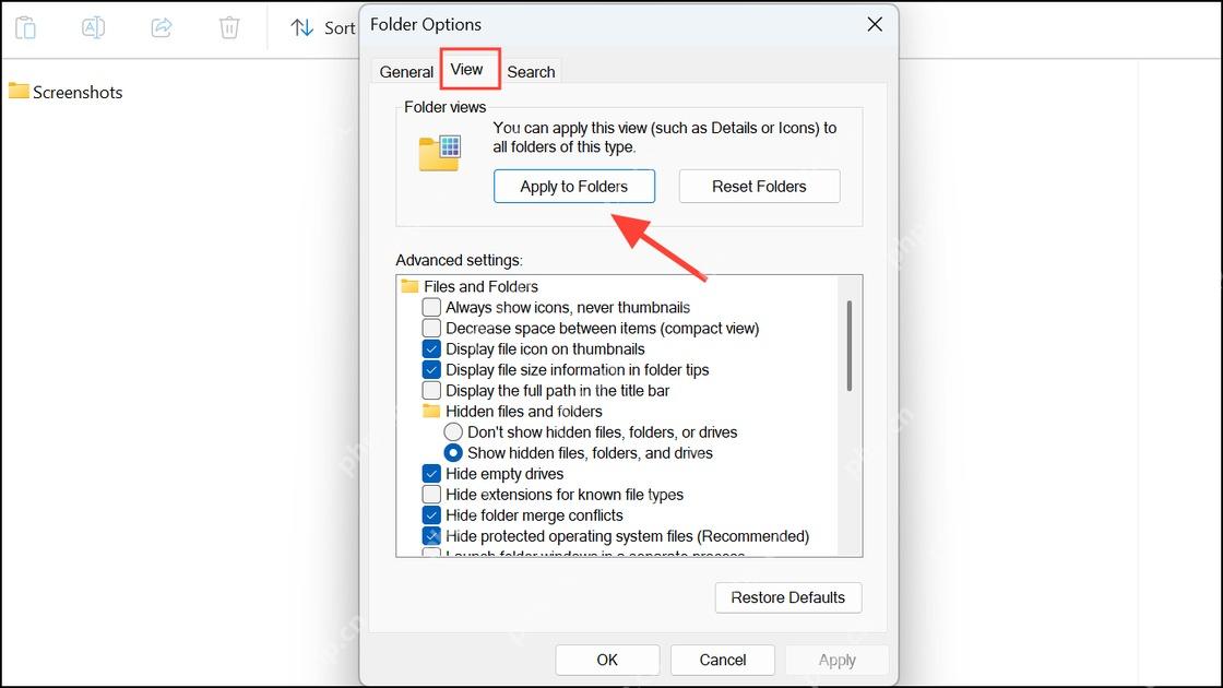 Win11 文件夹选项点击 Apply to Folders 保存排序视图