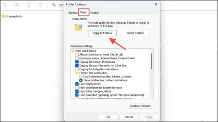 Win11 文件夹选项点击 Apply to Folders 保存排序视图