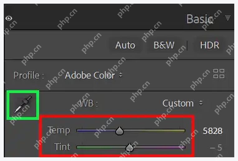 Lightroom Classic Basic 面板白平衡 Temp 和 Tint 控件
