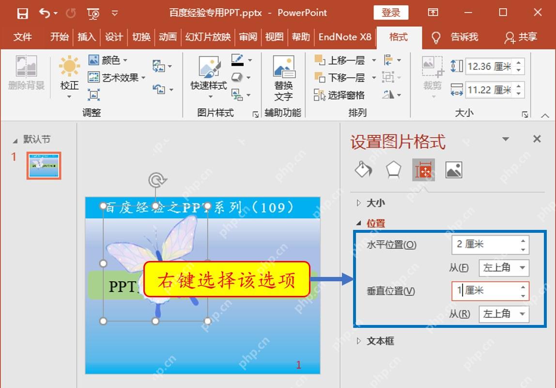 PowerPoint设置图片格式中的位置面板