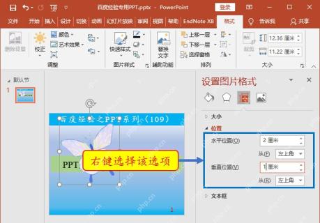 PowerPoint设置图片格式中的位置面板