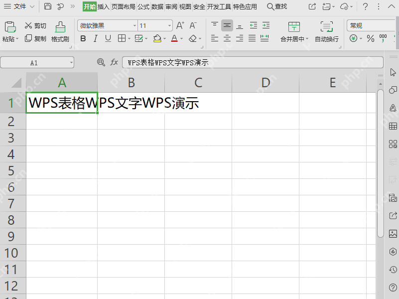 WPS表格中单元格文字太长横向超出单元格边界的界面