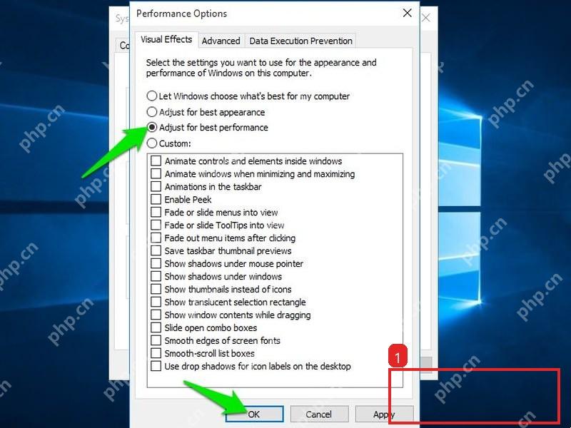 Windows10 性能选项窗口底部的应用和确定按钮