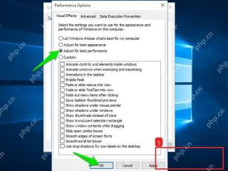 Windows10 性能选项窗口底部的应用和确定按钮