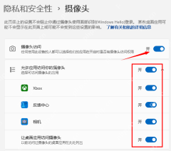Win11 摄像头权限页中的摄像头访问和应用访问开关