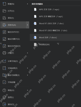 Word或WPS文档另存为docx格式
