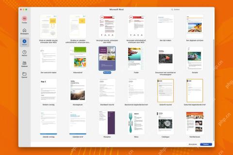 Microsoft 365怎么使用Word模板？Microsoft 365如何设置文档权限
