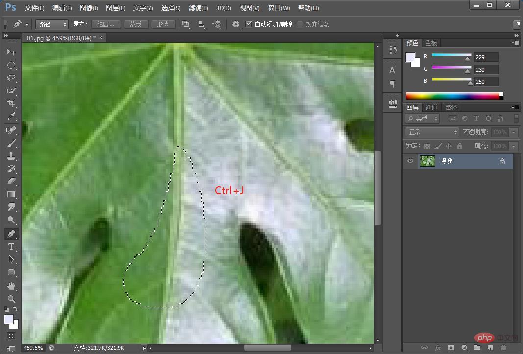 Teach you how to use PS to draw realistic water drop effects on leaves (share)