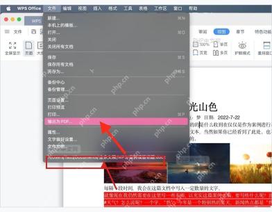 WPS 文件菜单里的输出为 PDF 选项，用于进入导出窗口