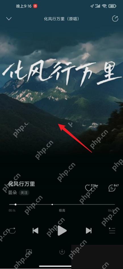 网易云音乐app怎么查看歌曲歌词步骤图2