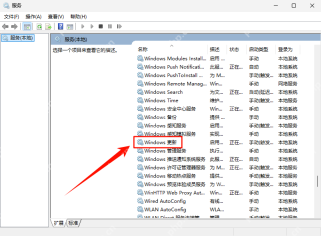 Windows Update 服务属性页显示服务名称和启动状态