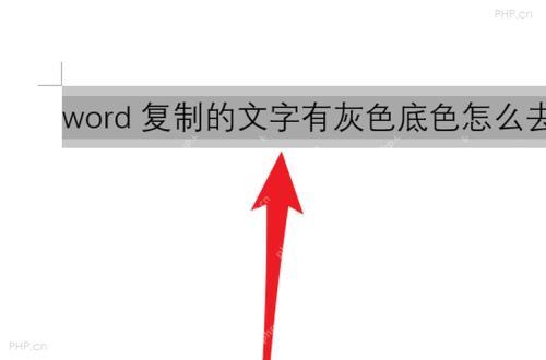 Word 文档中选中带灰色底纹的文字区域，准备清除原有格式