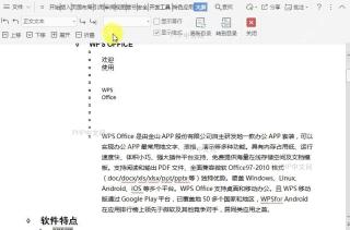 WPS在文档大纲视图中如何提升项目级别?中间操作