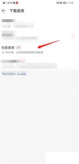 网易云音乐app怎么下载无损音质歌曲步骤图3