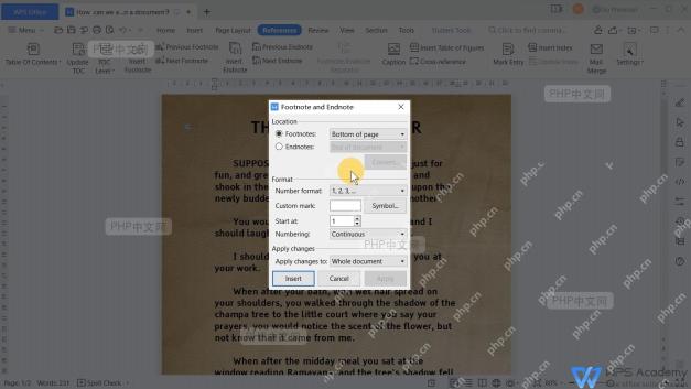 WPS Writer Footnote and Endnote 窗口中的编号设置、应用范围和 Insert 按钮