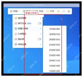 ToDesk Windows 显示菜单中切换屏幕后检查分辨率列表