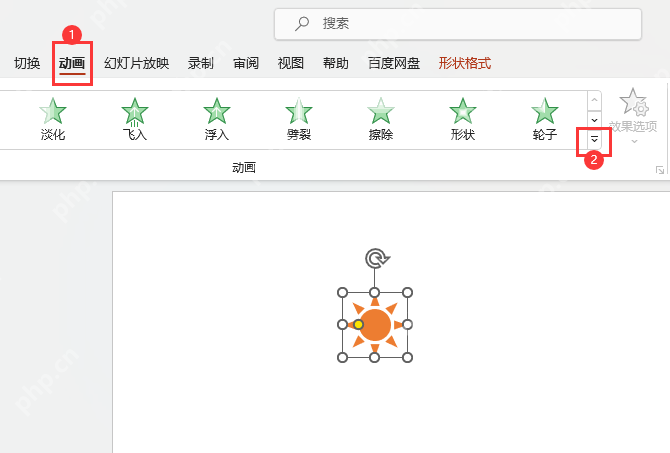 PPT 动画选项卡中的更多动画效果入口