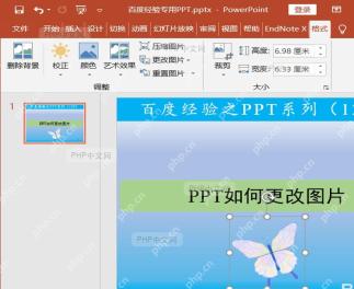 PowerPoint 中旧图片已被新图片替换，需要检查尺寸和位置是否正常