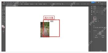 Illustrator 画板中放入图片并准备处理透明背景