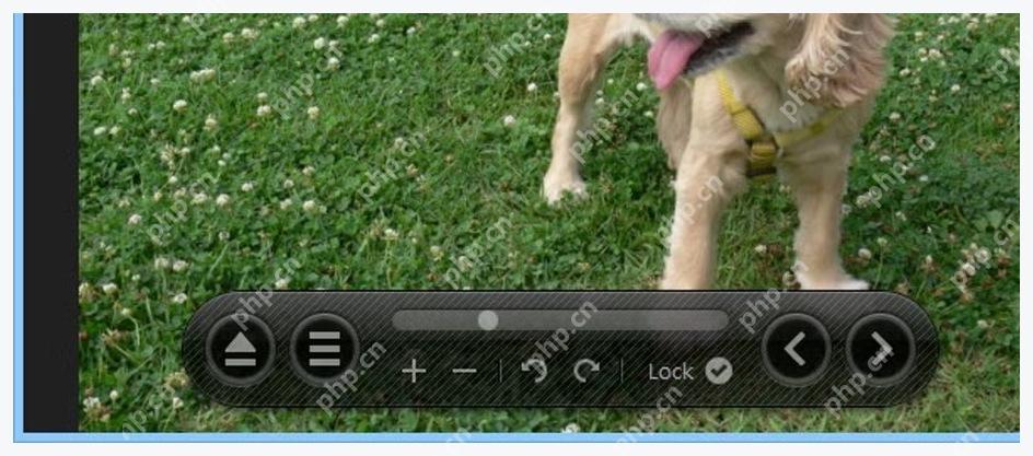 Honeyview 5.04 图片窗口底部控制条显示缩放和翻页按钮