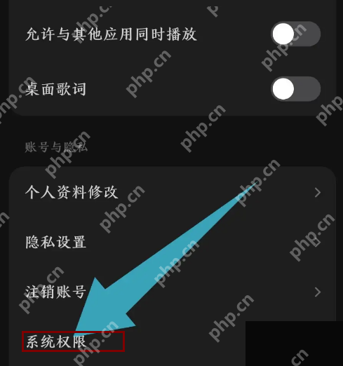 汽水音乐怎么设置下载完成提醒打开系统权限界面