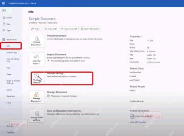 Word 文件信息页中信息菜单和 Version History 入口被标出