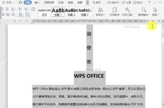 如何全选文档内容?结果检查