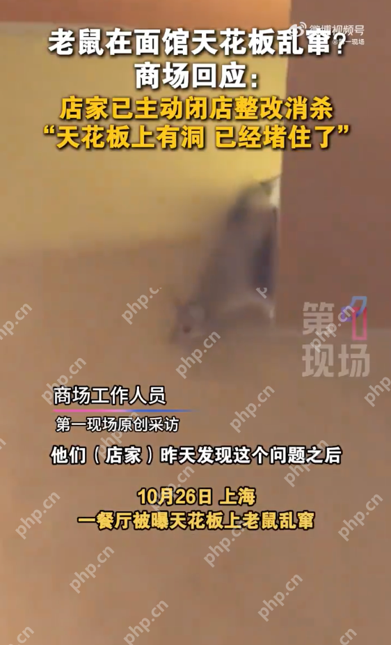 商场回应餐厅天花板上老鼠乱窜:已闭店整改进行消杀 - php中文网