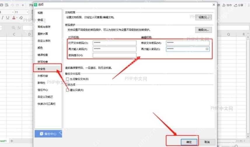 WPS 表格选项窗口中的安全性和打开权限密码区域,服务于进入加密设置步骤