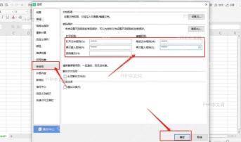 WPS 表格选项窗口中的安全性和打开权限密码区域，服务于进入加密设置步骤