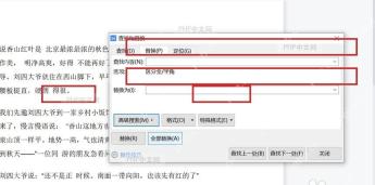 WPS文字查找和替换窗口中查找内容与替换为输入框被标出