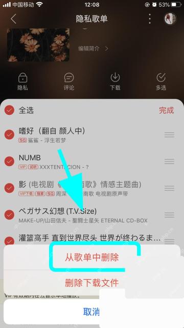 网易云音乐app怎么删除歌单里的歌曲步骤图3