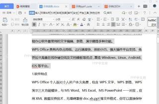 WPS如何将文件作为独立窗口显示？入口位置