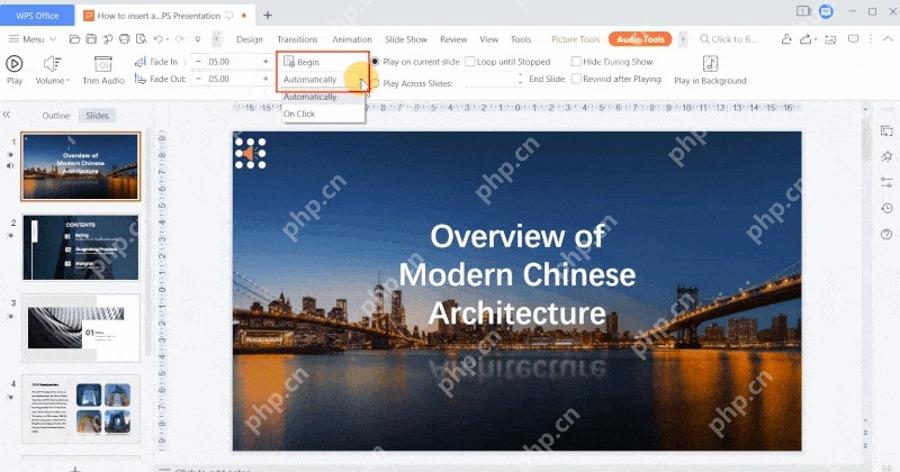 WPS演示音频播放选项区域，用于核对动画顺序和背景音乐时长