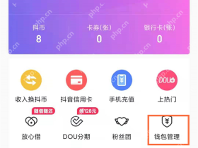 抖音钱包首页的钱包管理入口