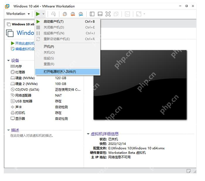 VMware Workstation 电源菜单高亮打开电源时进入固件选项