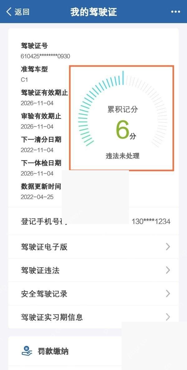 交管12123驾驶证详情页更多入口