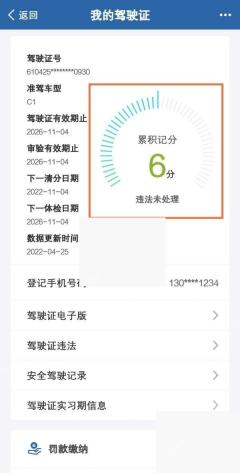 交管12123驾驶证详情页更多入口