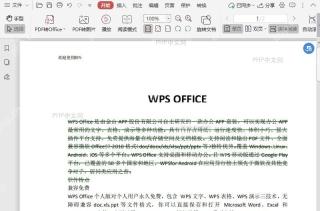 如何去除PDF文档中的删除线?入口位置