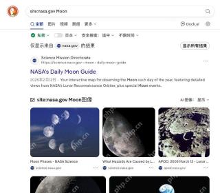 DuckDuckGo实际站点限定查询，显示搜索框、来源域名和网页摘要