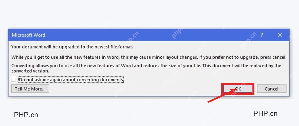 Microsoft Word 升级文件格式确认窗口中 OK 按钮被标出