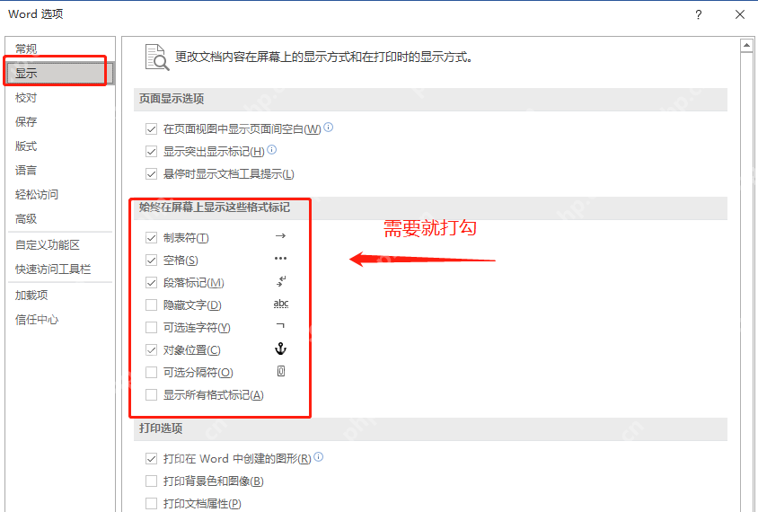 Word选项显示页面中空格和段落标记勾选项
