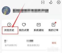 红果短剧我的页面浏览历史入口
